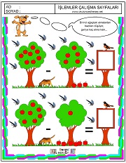 Ağaşlardaki elmaların toplamı kaç eder